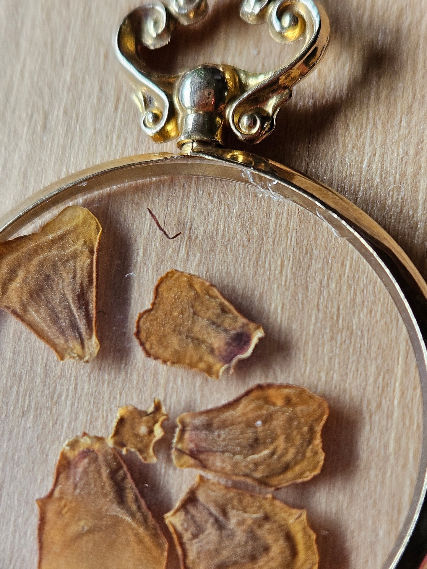 Carlisle Pendant