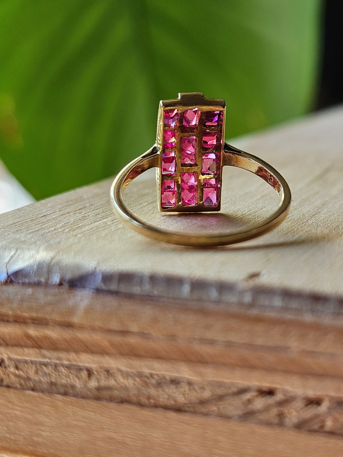 Stego Ring