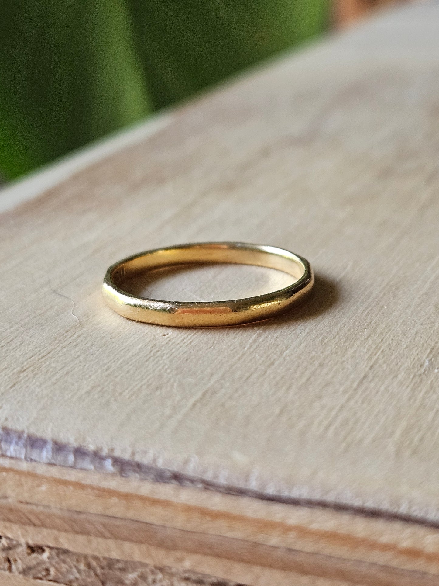 Noah Ring